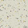 Sàn Terrazzo UT2502